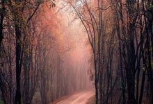 詹姆斯：有克內克特真是太棒了他的投籃技術讓你想幹啥就幹啥.