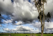 博鱼官方网站:15歲阿馬拉·迪烏夫成塞內加爾最年輕出戰國腳!.